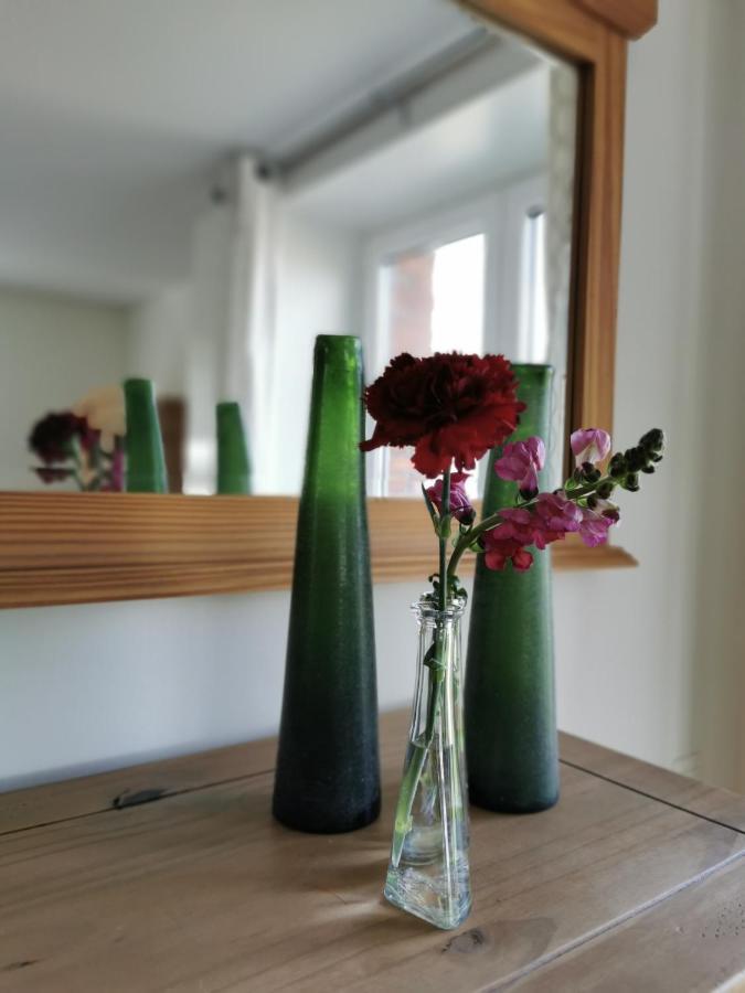 Housing De Brouwerij Panzió Westdorpe Kültér fotó